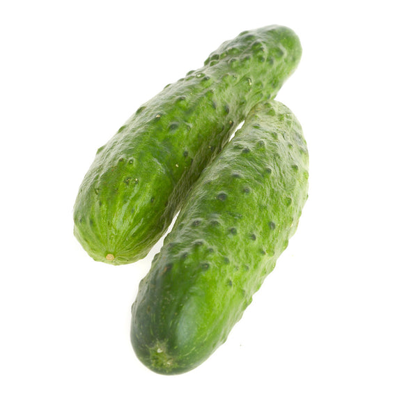 Cucumber