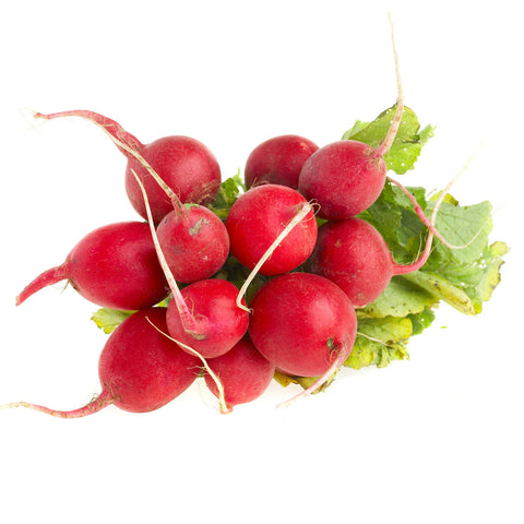 Radish